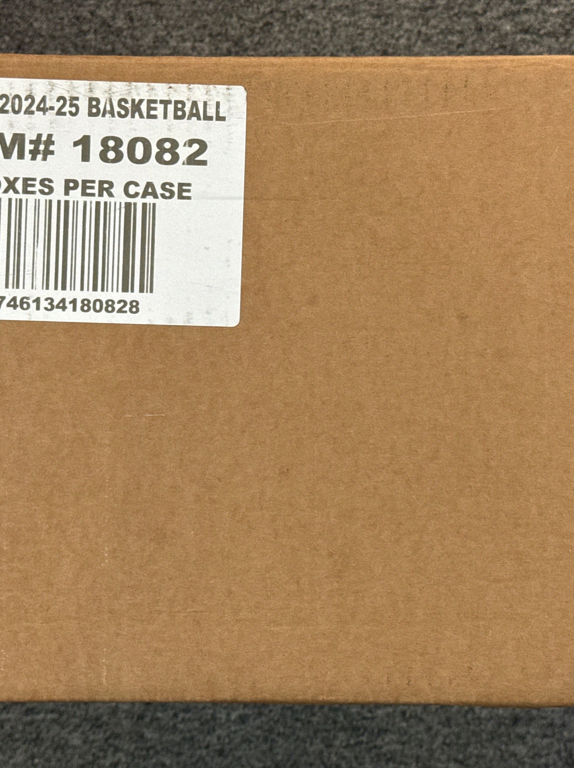 FOX -2024-25 Panini Select Basketball Hobby Mega Box (Sealed Case, 20 Box)